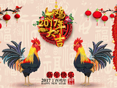 合肥中麗包裝材料有限公司與您一起展望2017